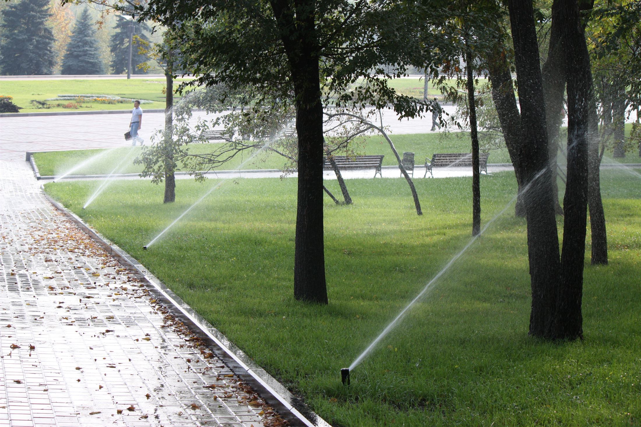 Парк Ленінського Комсомолу, фото 13